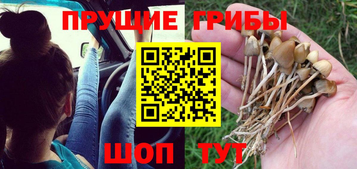 Острогожск  Псилоцибиновые грибы GOLDEN TEACHER  Вход с VPN 