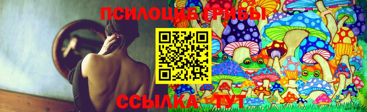 Галлюциногенные грибы GOLDEN TEACHER Острогожск